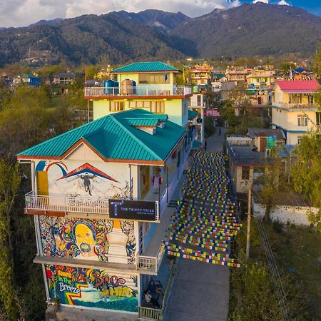 The Trippy Tribe Hostel Bir  Luaran gambar